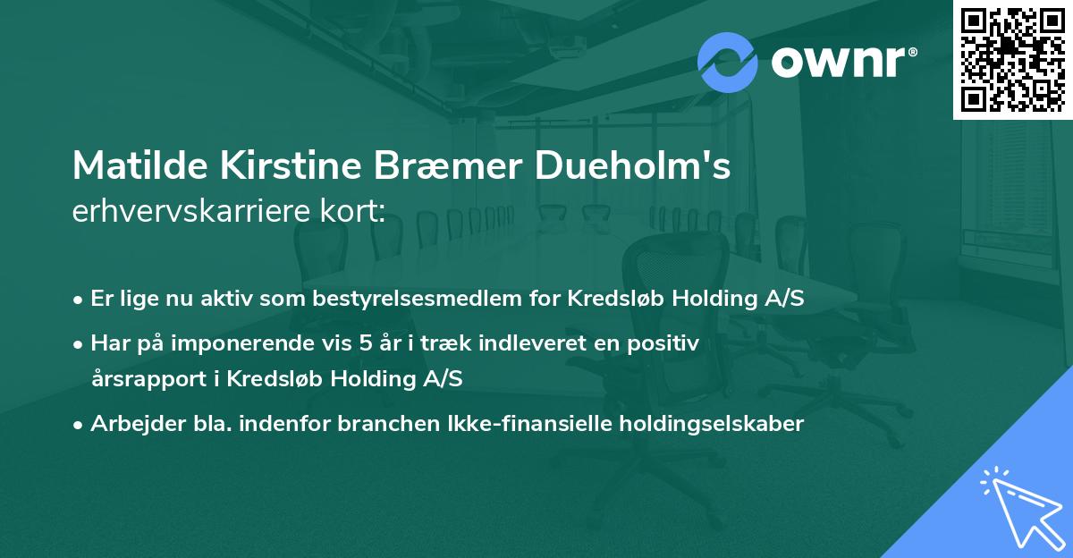 Matilde Kirstine Bræmer Dueholm's erhvervskarriere kort