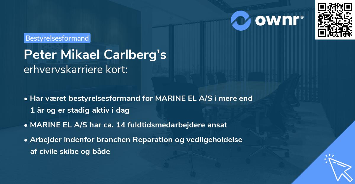 Peter Mikael Carlberg's erhvervskarriere kort