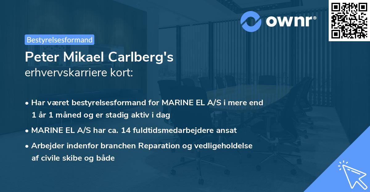 Peter Mikael Carlberg's erhvervskarriere kort