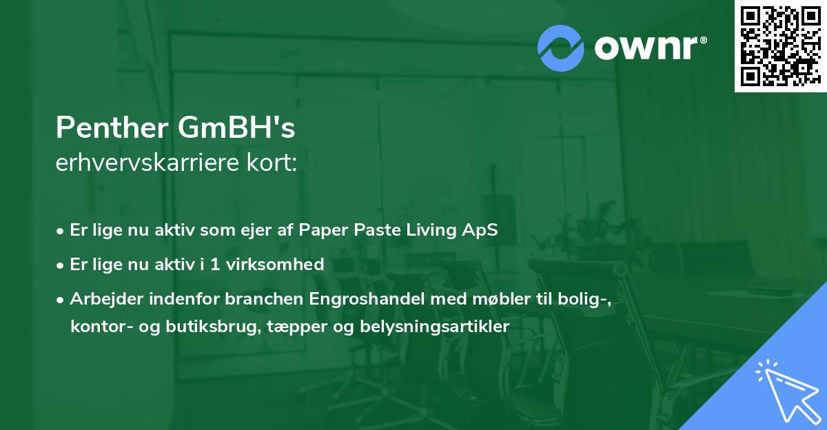 Penther GmBH's erhvervskarriere kort