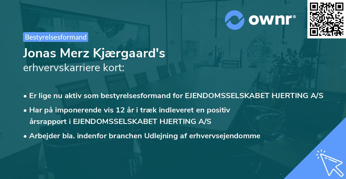 Jonas Merz Kjærgaard's erhvervskarriere kort