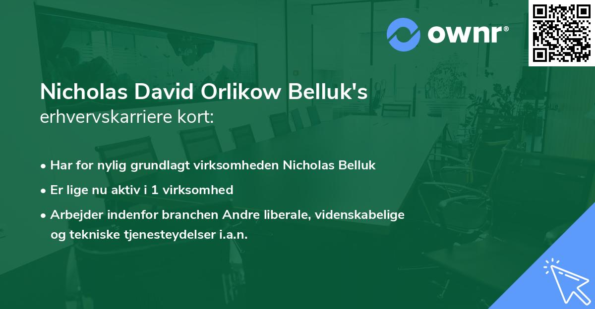 Nicholas David Orlikow Belluk's erhvervskarriere kort