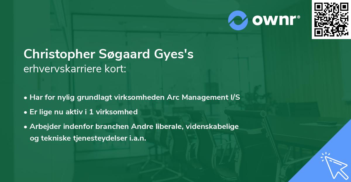 Christopher Søgaard Gyes's erhvervskarriere kort