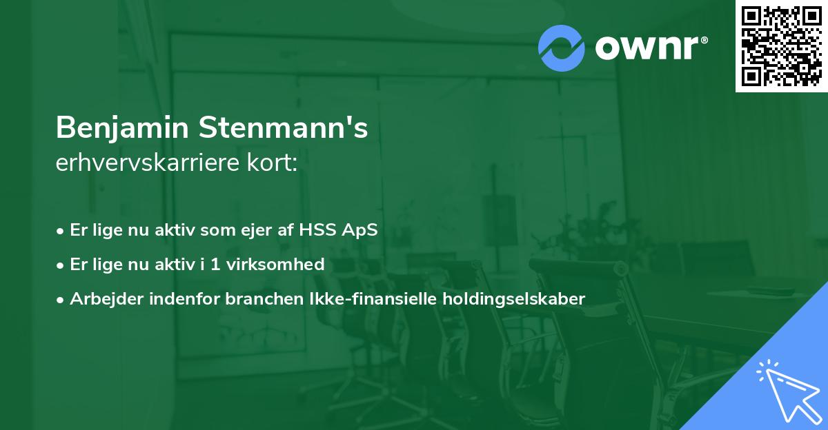 Benjamin Stenmann's erhvervskarriere kort