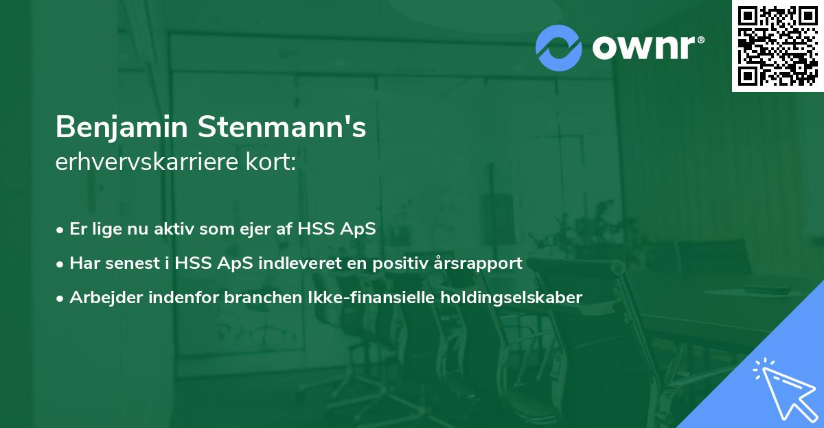 Benjamin Stenmann's erhvervskarriere kort