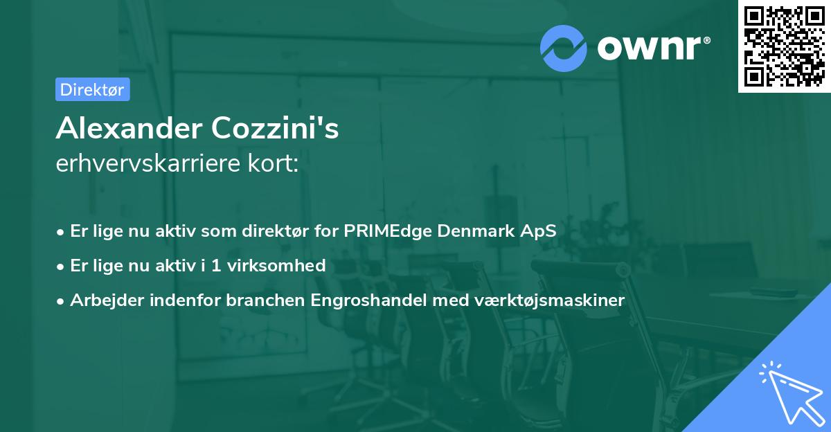 Alexander Cozzini's erhvervskarriere kort