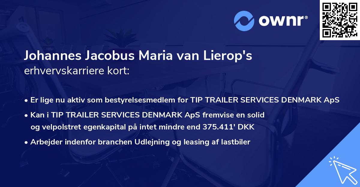 Johannes Jacobus Maria van Lierop's erhvervskarriere kort