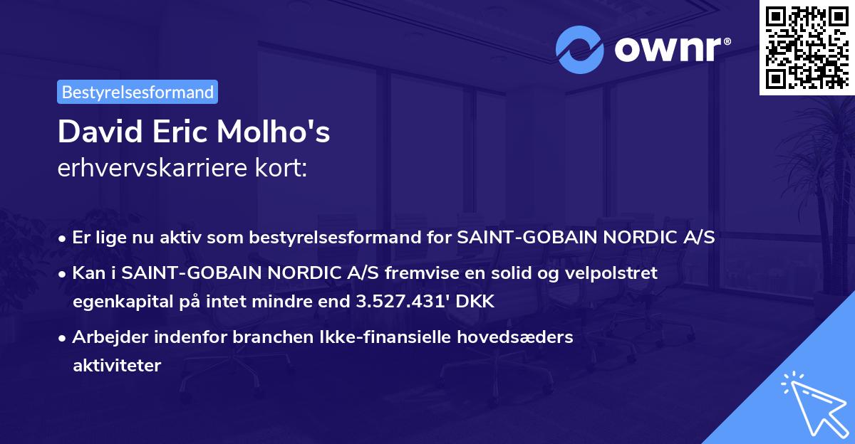 David Eric Molho's erhvervskarriere kort
