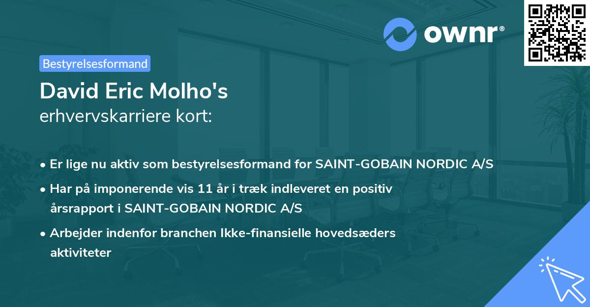 David Eric Molho's erhvervskarriere kort