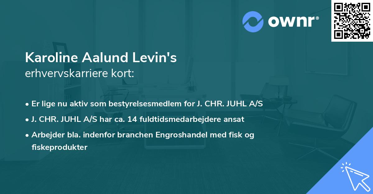 Karoline Aalund Levin's erhvervskarriere kort