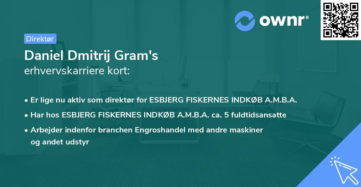 Daniel Dmitrij Gram's erhvervskarriere kort