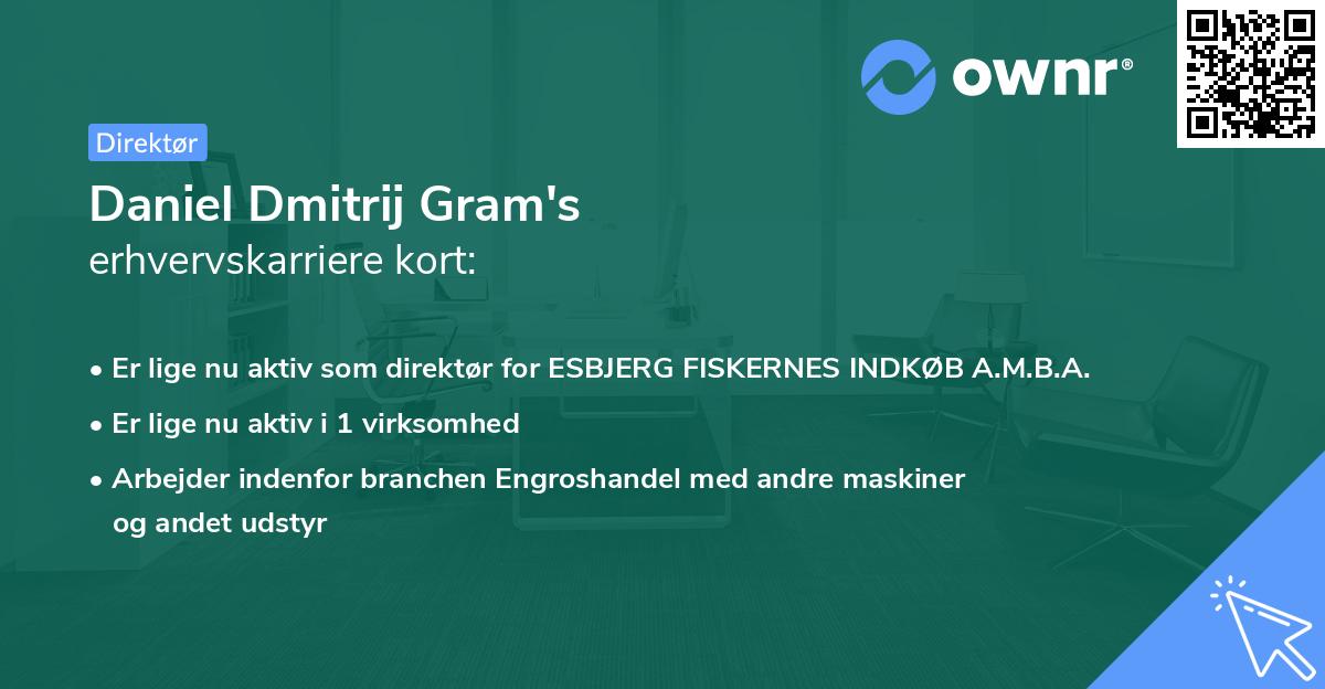 Daniel Dmitrij Gram's erhvervskarriere kort