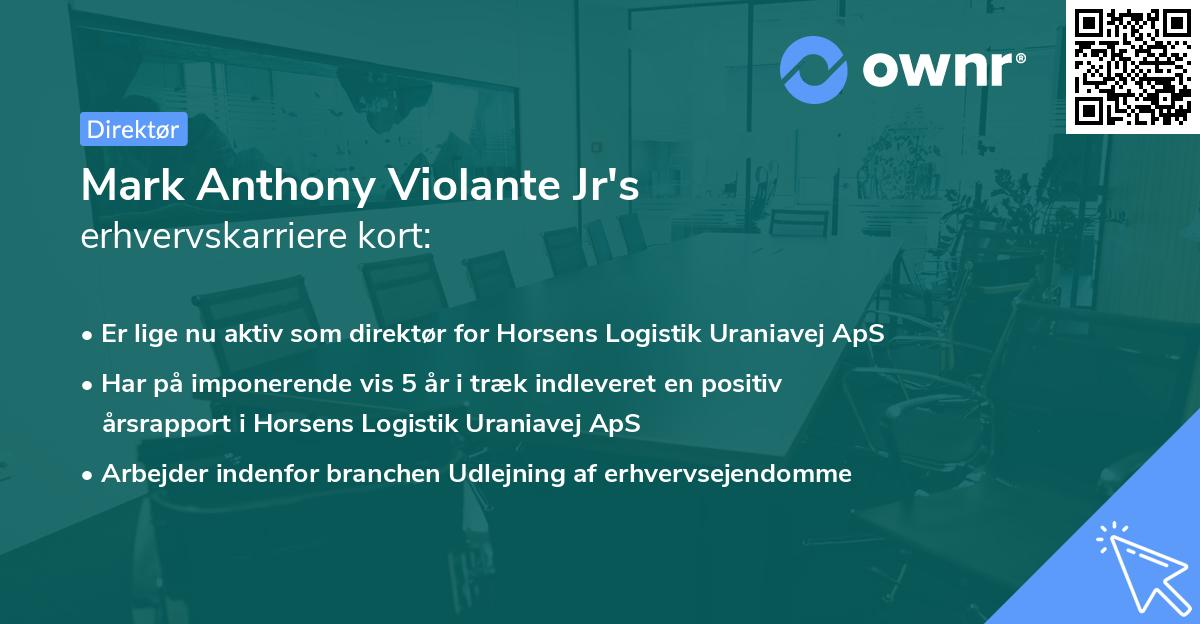 Mark Anthony Violante Jr's erhvervskarriere kort