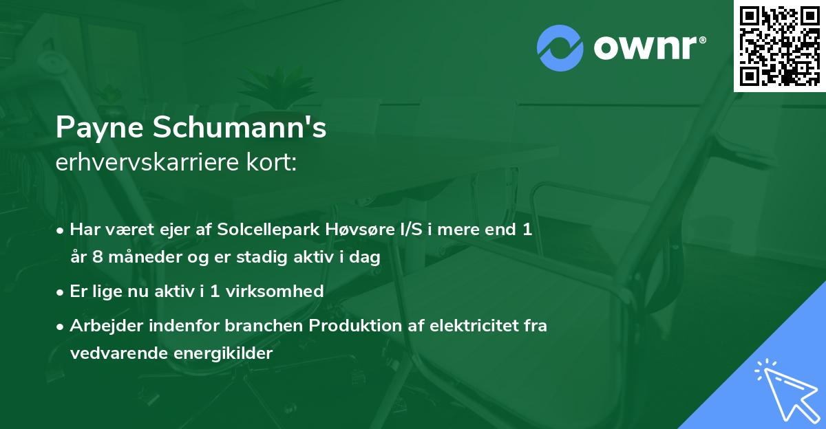 Payne Schumann's erhvervskarriere kort