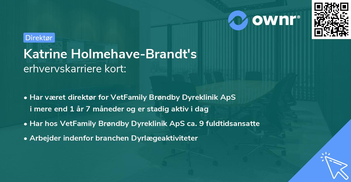 Katrine Holmehave-Brandt's erhvervskarriere kort
