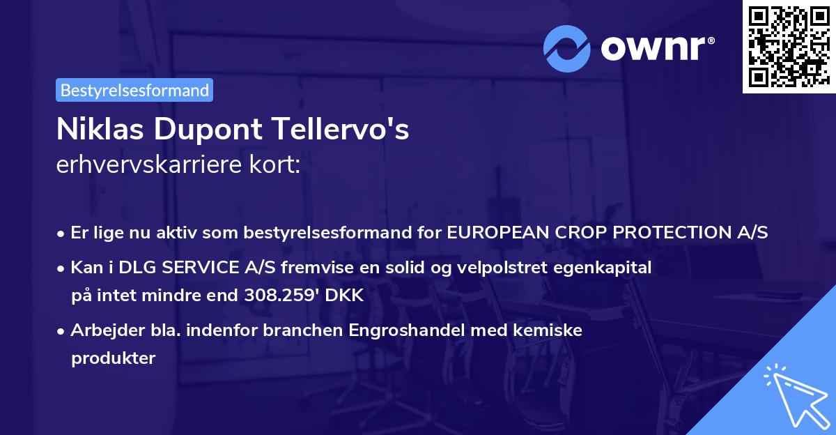 Niklas Dupont Tellervo's erhvervskarriere kort