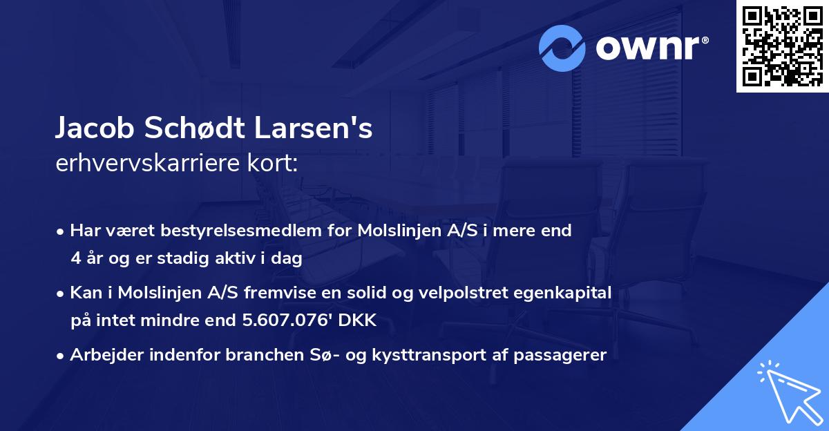 Jacob Schødt Larsen's erhvervskarriere kort