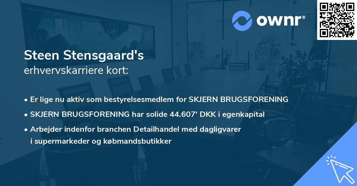 Steen Stensgaard's erhvervskarriere kort