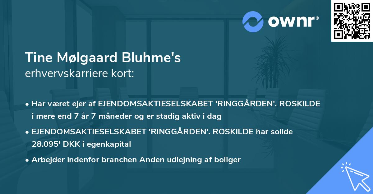 Tine Mølgaard Bluhme's erhvervskarriere kort