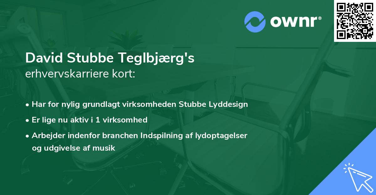 David Stubbe Teglbjærg's erhvervskarriere kort