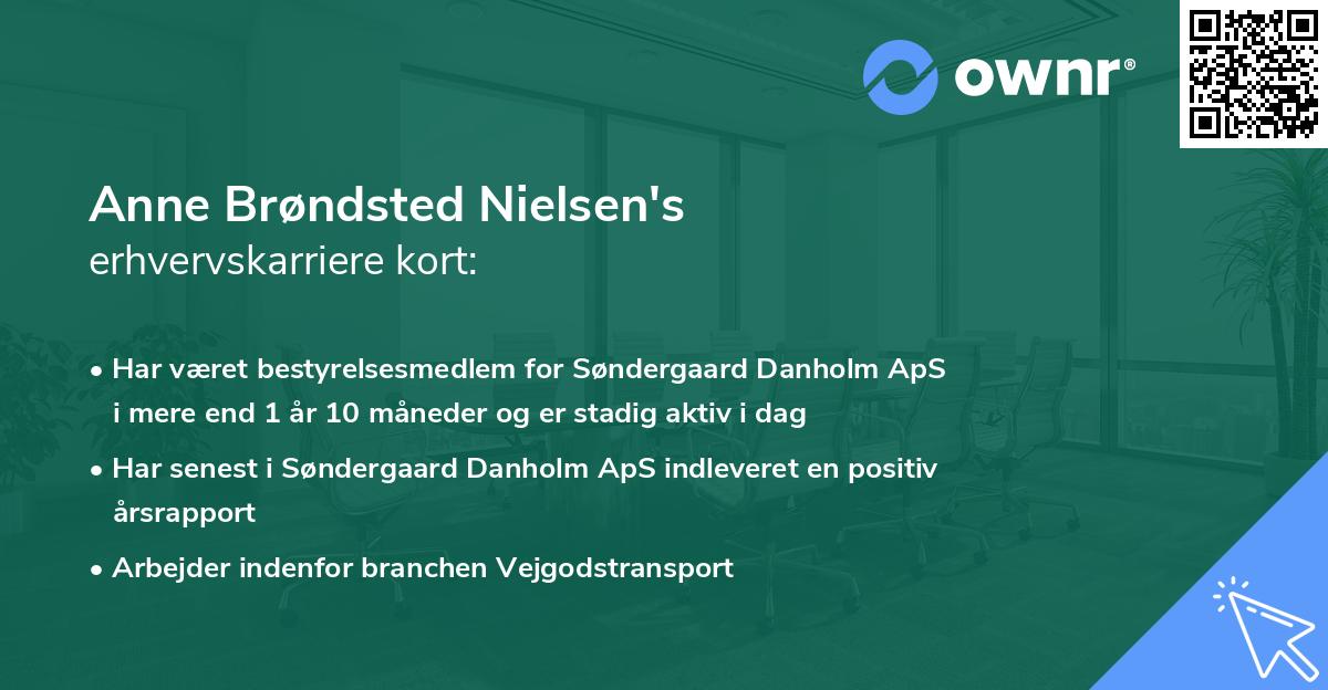 Anne Brøndsted Nielsen's erhvervskarriere kort