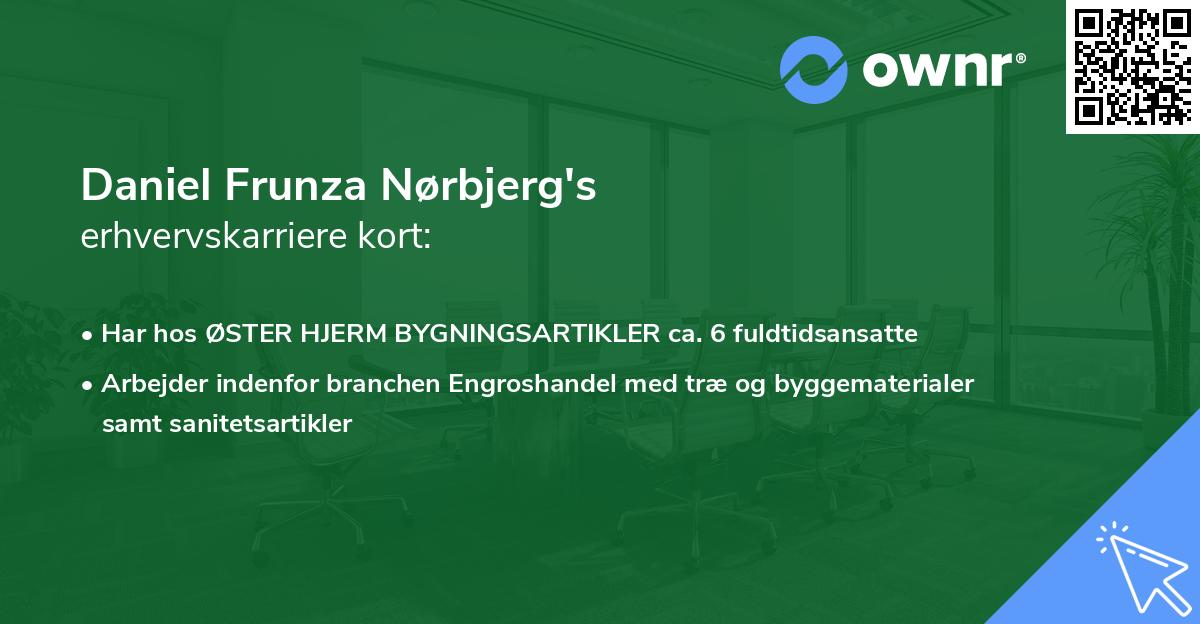 Daniel Frunza Nørbjerg's erhvervskarriere kort