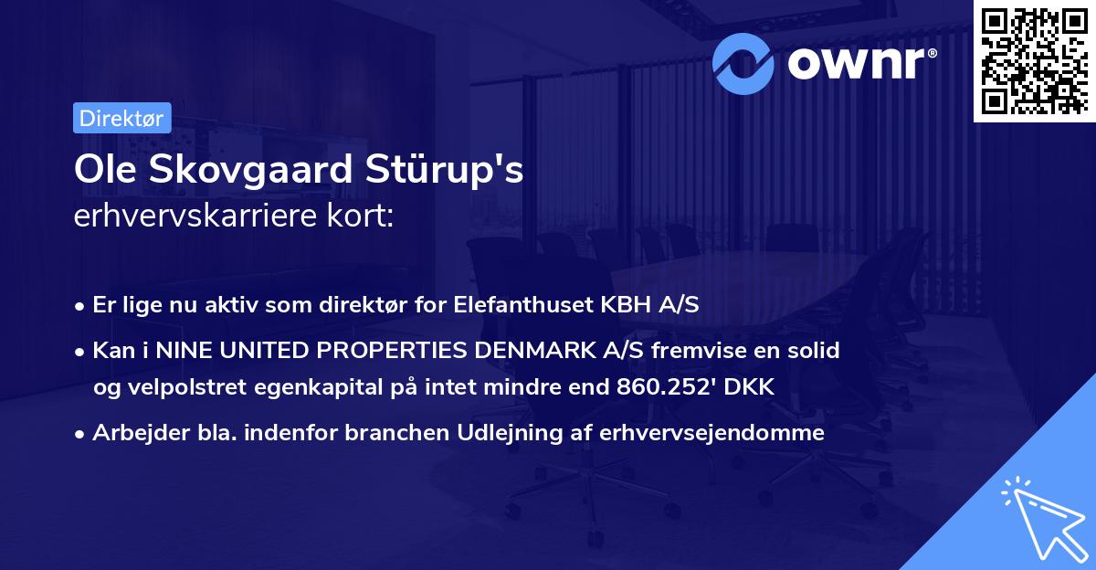 Ole Skovgaard Stürup's erhvervskarriere kort
