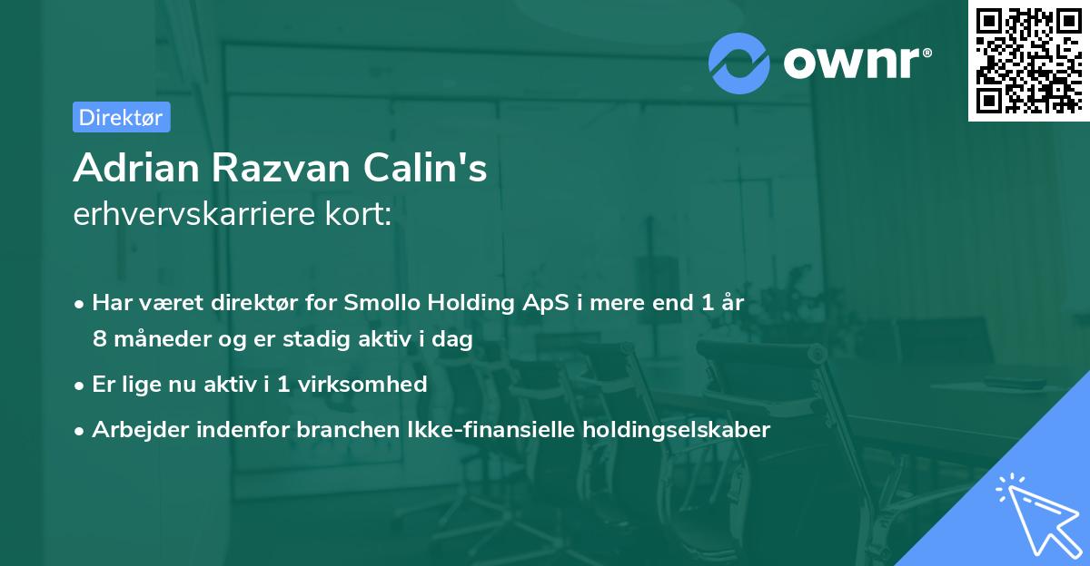 Adrian Razvan Calin's erhvervskarriere kort