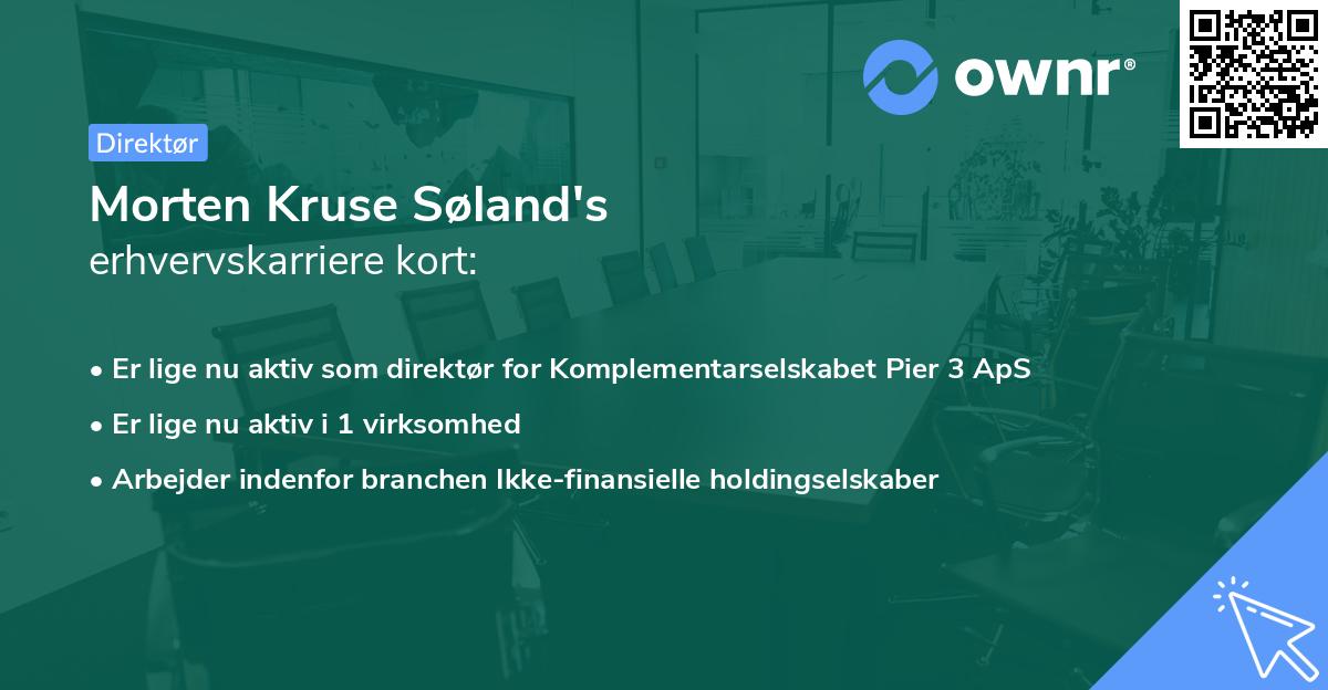 Morten Kruse Søland's erhvervskarriere kort