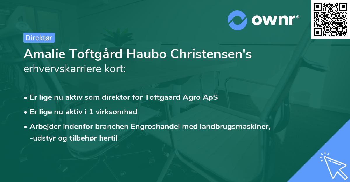 Amalie Toftgård Haubo Christensen's erhvervskarriere kort