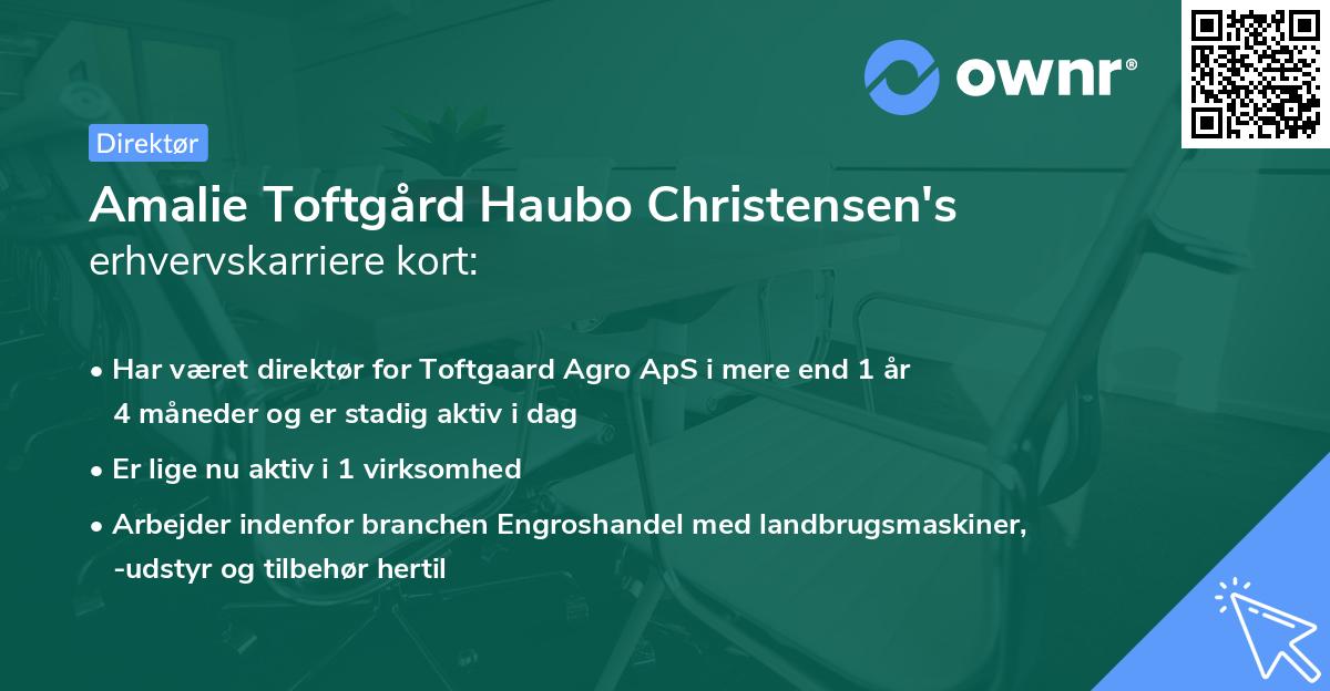 Amalie Toftgård Haubo Christensen's erhvervskarriere kort