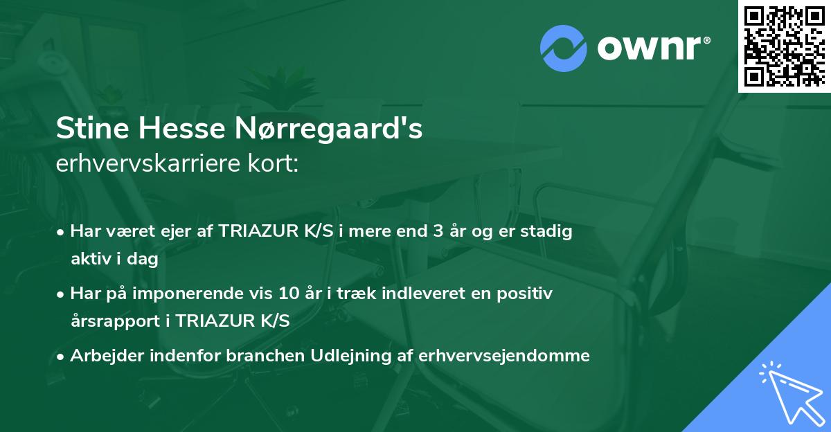 Stine Hesse Nørregaard's erhvervskarriere kort