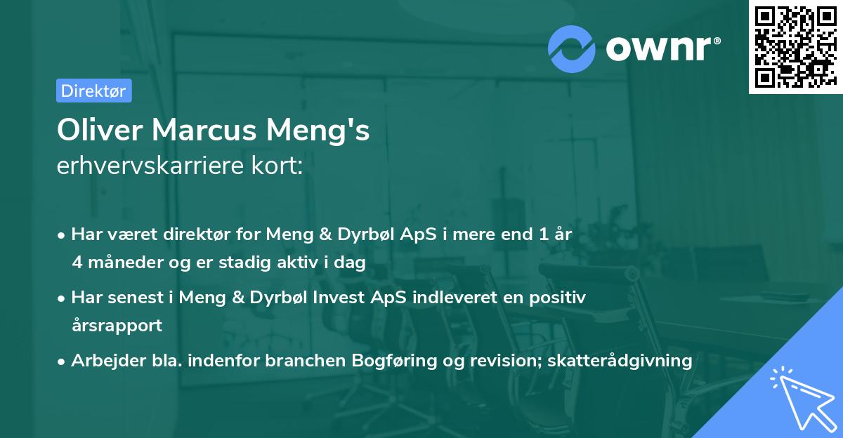 Oliver Marcus Meng's erhvervskarriere kort