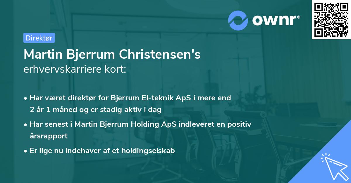 Martin Bjerrum Christensen's erhvervskarriere kort