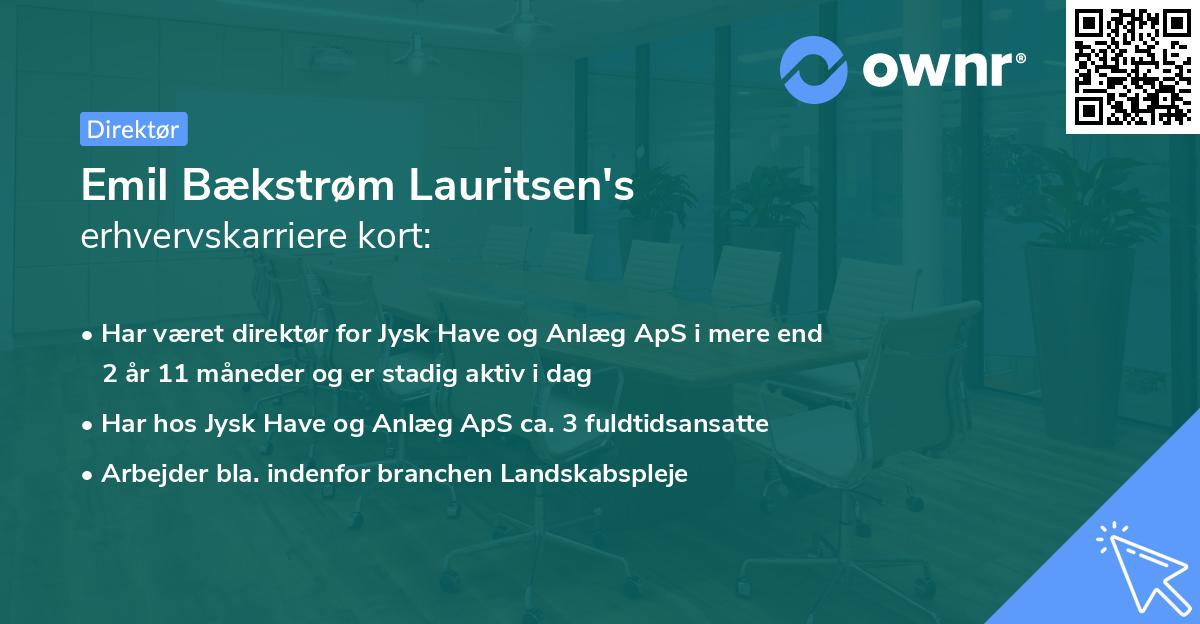 Emil Bækstrøm Lauritsen's erhvervskarriere kort