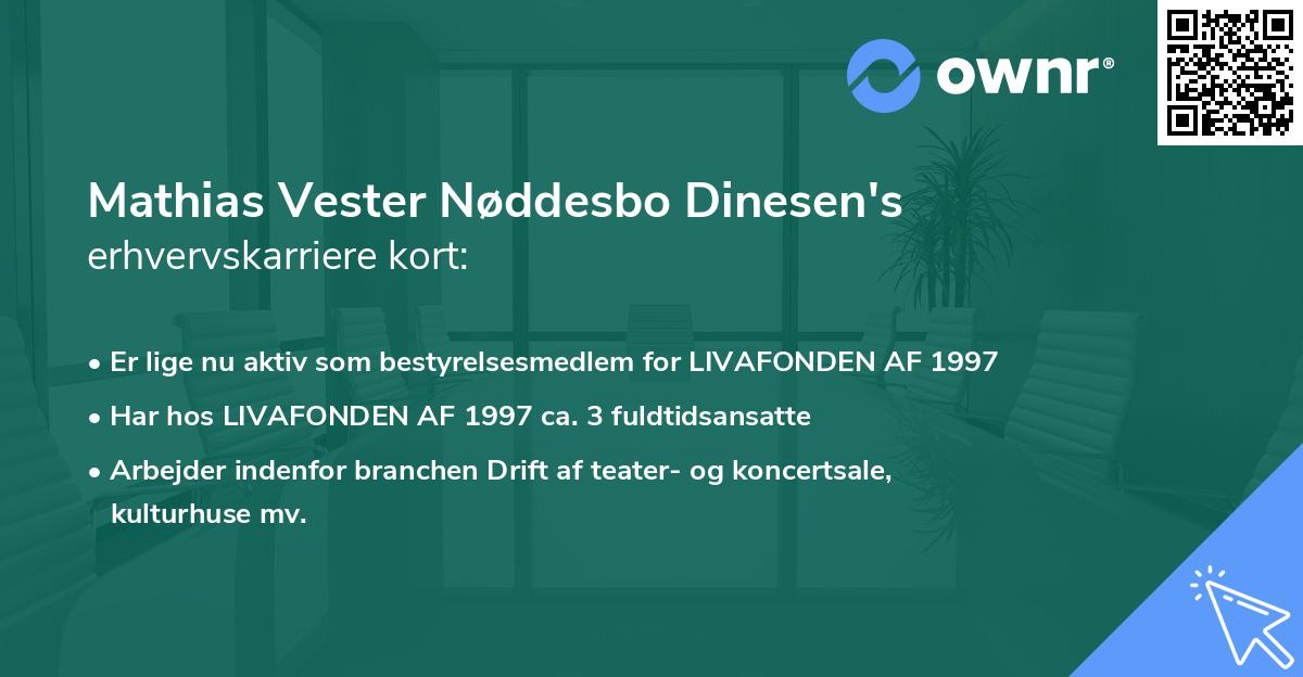Mathias Vester Nøddesbo Dinesen's erhvervskarriere kort