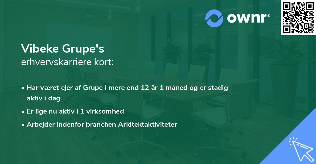 Vibeke Grupe's erhvervskarriere kort