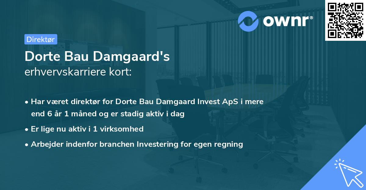 Dorte Bau Damgaard's erhvervskarriere kort