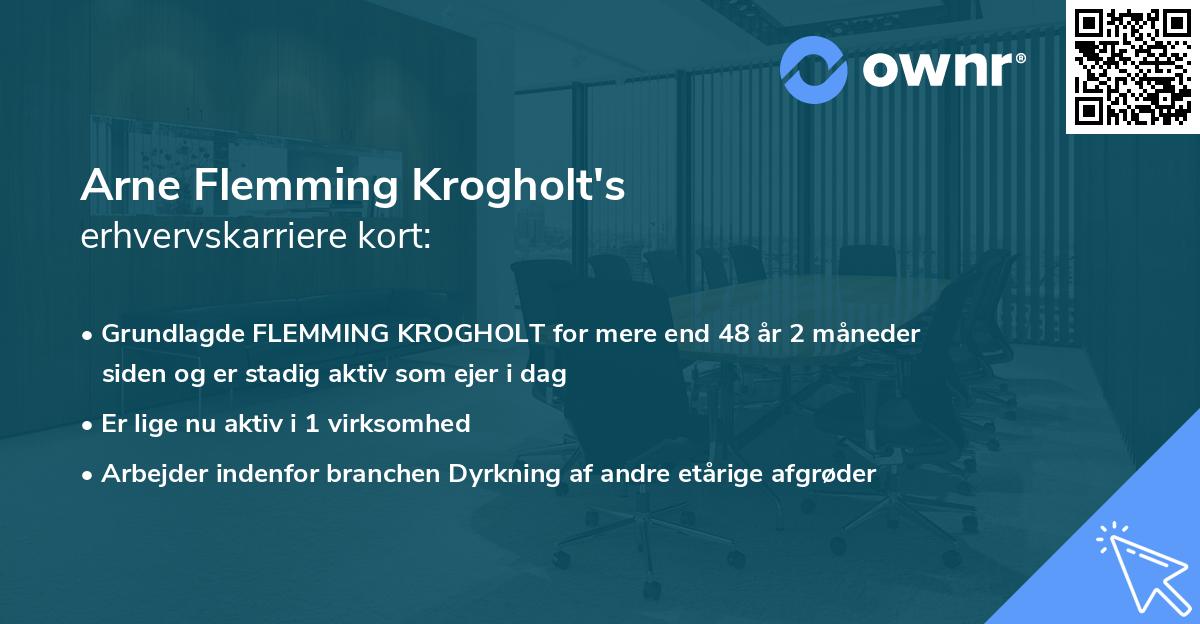 Arne Flemming Krogholt's erhvervskarriere kort