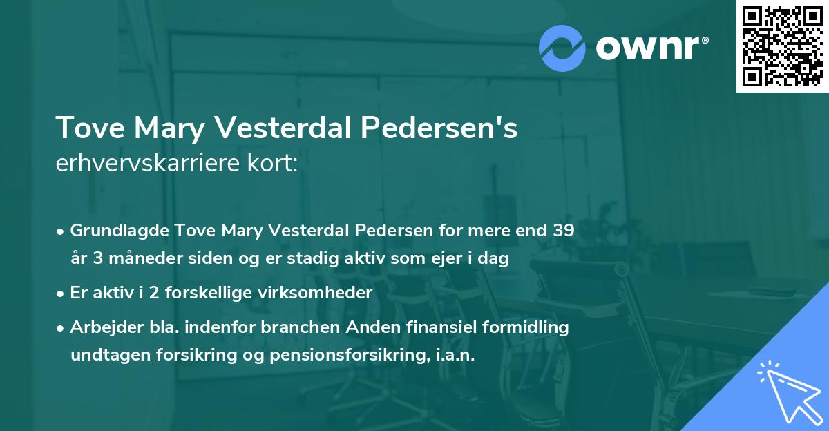 Tove Mary Vesterdal Pedersen's erhvervskarriere kort
