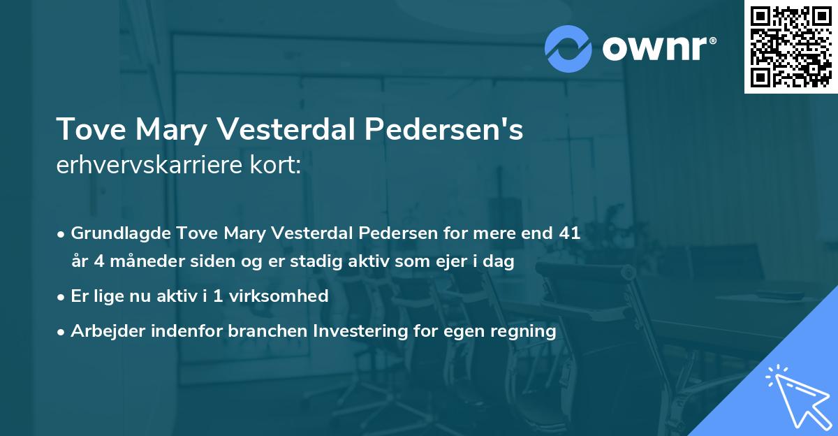 Tove Mary Vesterdal Pedersen's erhvervskarriere kort