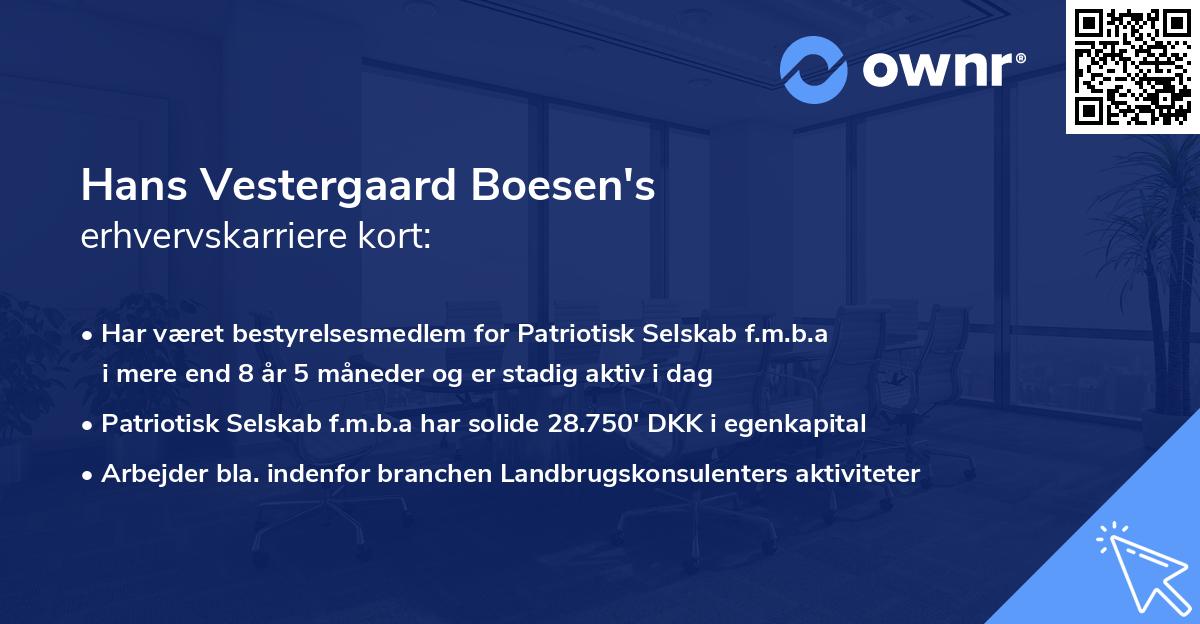 Hans Vestergaard Boesen's erhvervskarriere kort