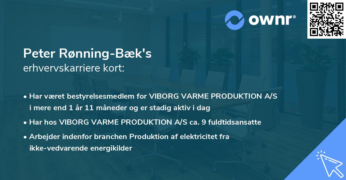 Peter Rønning-Bæk's erhvervskarriere kort