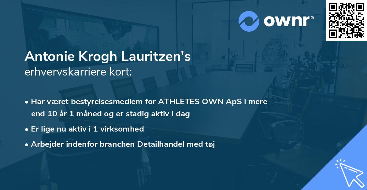 Antonie Krogh Lauritzen's erhvervskarriere kort