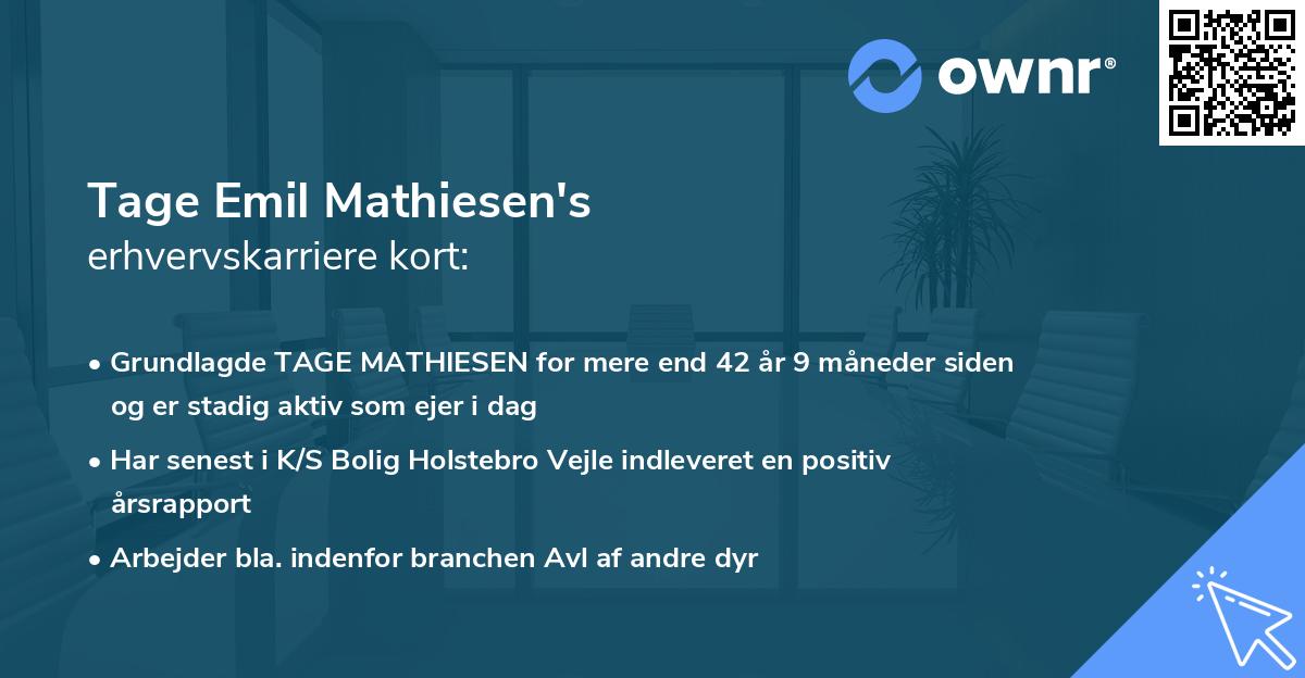 Tage Emil Mathiesen's erhvervskarriere kort
