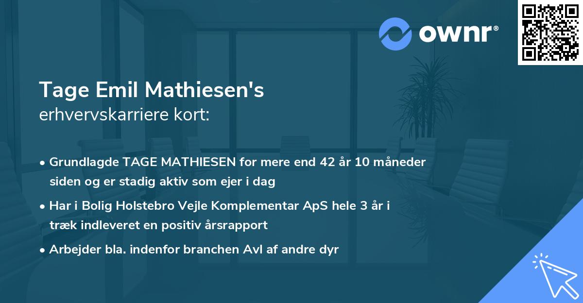 Tage Emil Mathiesen's erhvervskarriere kort