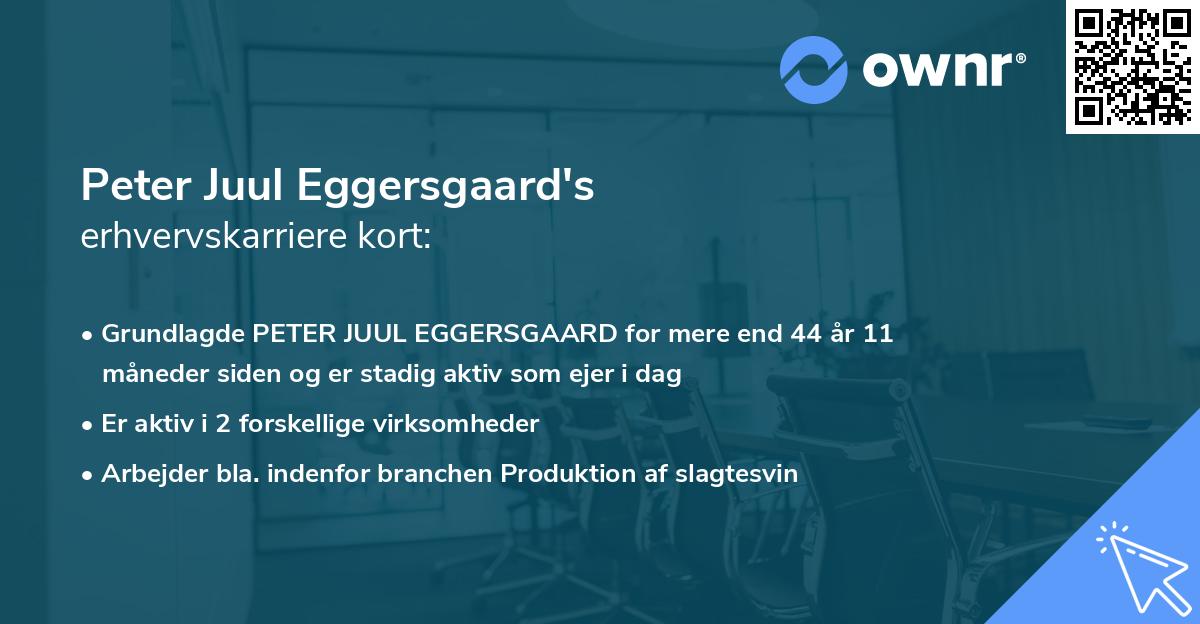 Peter Juul Eggersgaard's erhvervskarriere kort