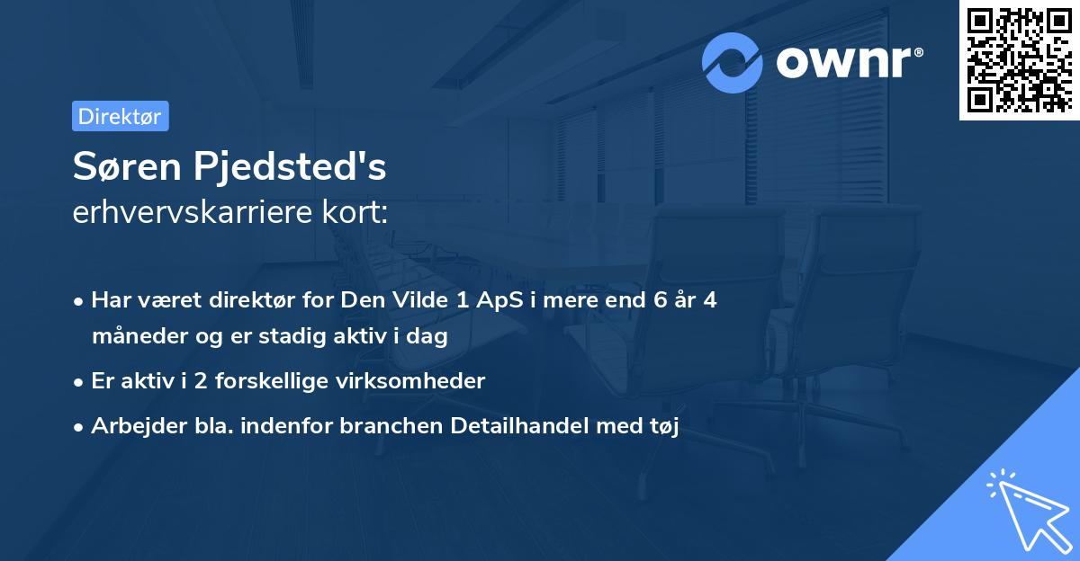 Søren Pjedsted's erhvervskarriere kort