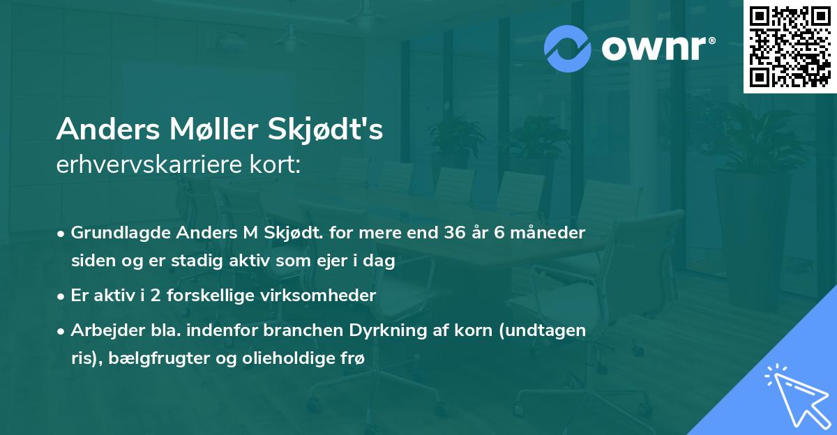 Anders Møller Skjødt's erhvervskarriere kort