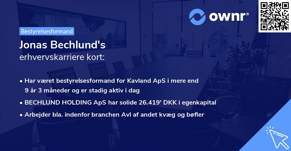 Jonas Bechlund's erhvervskarriere kort